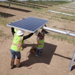 Workers install high efficiency SunPower panels at the 579-MW Antelope Valley Solar Projects