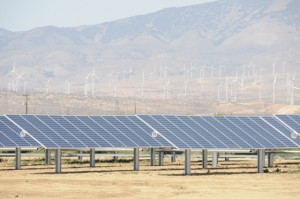 Solar panels with wind turbines in background